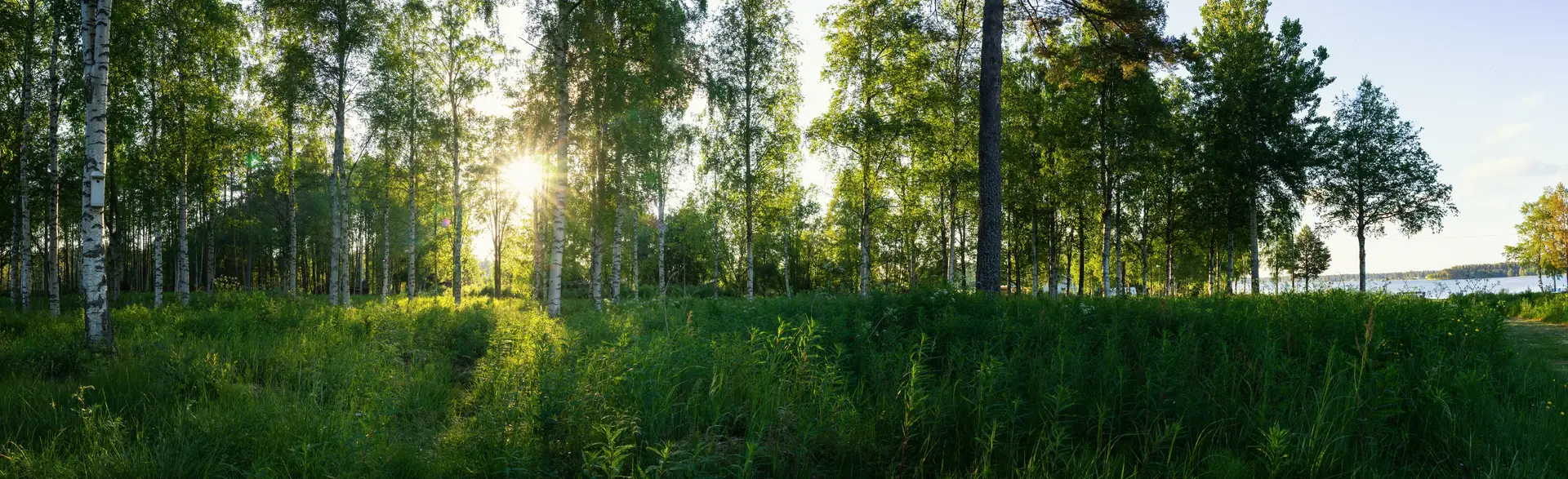 Specialister på ventilationsrengöring i Norrköping